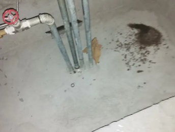 凤翔卫生间测漏水价格明细