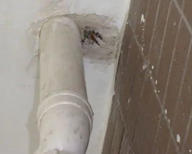 凤翔漏水检测哪家好